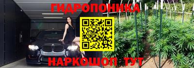 тгк Севастополь