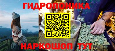 тгк Севастополь