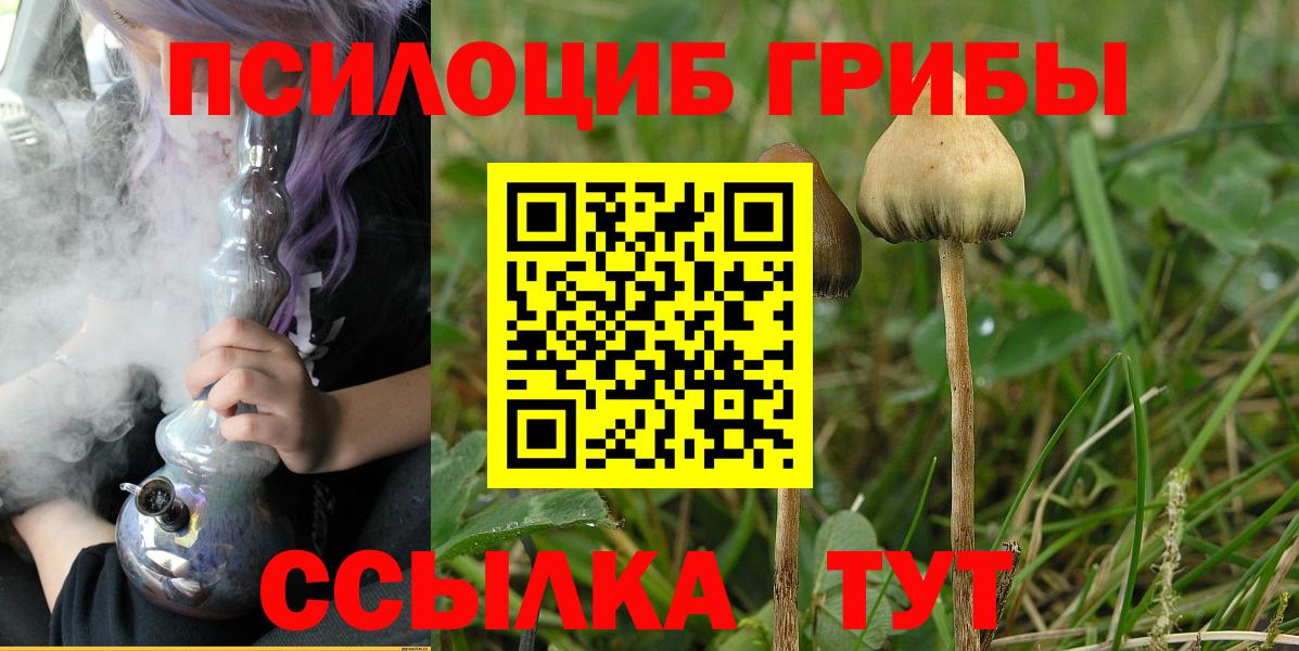 Сатка  Псилоцибиновые грибы прущие грибы  цены   Вход с VPN 