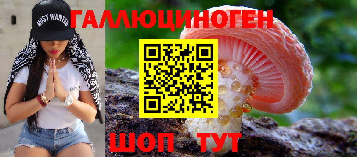 Псилоцибиновые грибы Cubensis Сатка